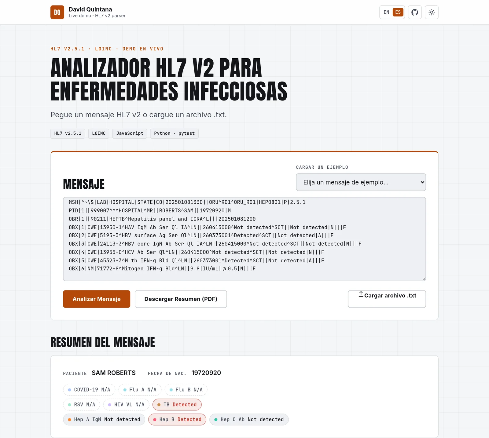Parser interface in Spanish in the light theme