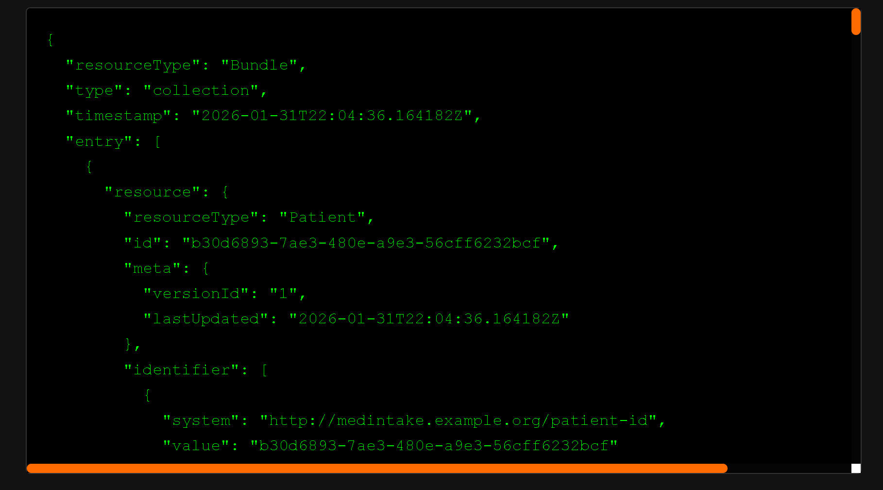 JSON viewer button to preview the complete FHIR bundle structure